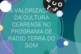 Imagem: Banner de apresentação do trabalho da estudante Theresa Rachel (Imagem: Reprodução)