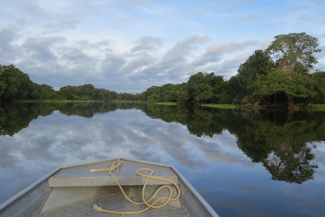 Imagem do Rio Amazonas