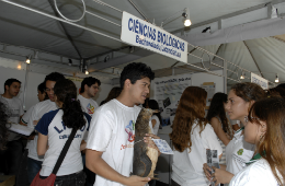 Estudante durante a II Feira das Profissões