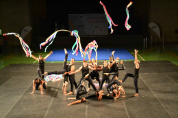 Imagem: O grupo Gymnarteiros, do Iefes/UFC, participou do Festival Gym Brasil, em Piracicaba (SP)