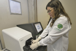 Imagem: Profª Mariana Pires de Campos Telles, da Universidade Federal de Goiás (Foto: Carlos Siqueira/Jornal UFG)