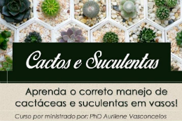 Imagem: Cartaz de divulgação da oficina Cactos e Suculentas