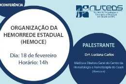 Imagem: Banner de divulgação da webconferência