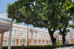 Imagem: Mangueiras em frente à Reitoria