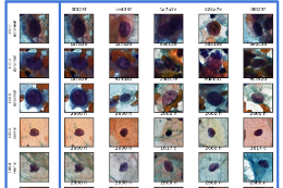 Imagem: Os grandes beneficiados serão cientistas que lidam com muita quantidade de imagens (Foto: Divulgação)