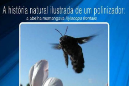 Imagem: Capa do livro