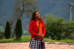 Imagem: foto do filme Senhorita Maria - mulher olhando para cima e paisagem de vegetação ao fundo