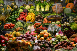 Imagem: O evento é realizado por estudantes do CCA que integram o projeto de extensão Estudo das Condições de Higiene e Acondicionamento de Vegetais Comercializados em Mercado e Feiras Livres na Cidade de Fortaleza-CE (Foto: divulgação)