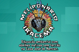 Imagem: Cartaz do evento com informações e uma ilustração de uma abelha