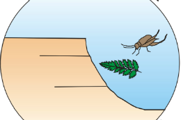 Imagem: A marca do evento enfatiza duas das especialidades paleontológicas que terão enfoque: o estudo das plantas (representadas pela folha de um tipo de samambaia) e o dos insetos (representados pelo grilo), além da relação paleoecológica entre ambos