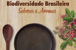 Imagem: capa do livro com foto de um prato escuro, uma colher de pau e planta ao lado do prato