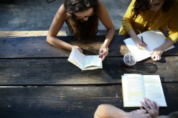 jovens alunos estudando juntos