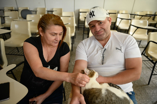 Na imagem, há um casal sentado em cadeiras dentro de uma sala de aula ou auditório, com cadeiras ao fundo. O homem está segurando um gato branco e cinza no colo, enquanto a mulher, ao lado dele, faz carinho no animal. Ambos parecem estar confortáveis e atentos ao gato, que está deitado calmamente. O homem está usando uma camisa branca e um boné branco com o logotipo "NY", e a mulher está vestida com uma camisa preta. O ambiente é simples e parece ser um local onde atividades relacionadas a cuidados com animais ocorrem, possivelmente parte de um projeto de castração ou cuidados veterinários.