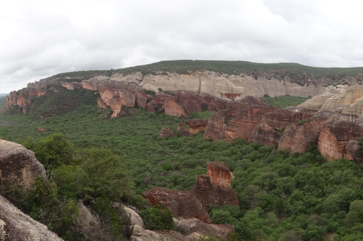 Imagem: foto aérea de área da caatinga, onde se vê uma enorme área com vegetação verde e uma grande área montanhosa