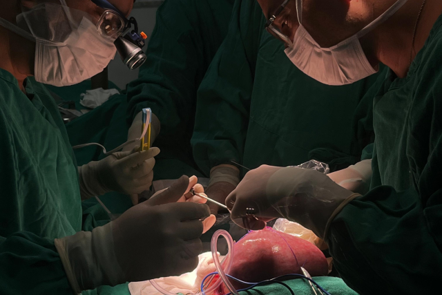 Imagem: foto mostra uma sala de cirurgia escura com luz focada em um útero fora da barriga de uma mulher e dois médicos estão ao redor segurando instrumentos cirúrgicos