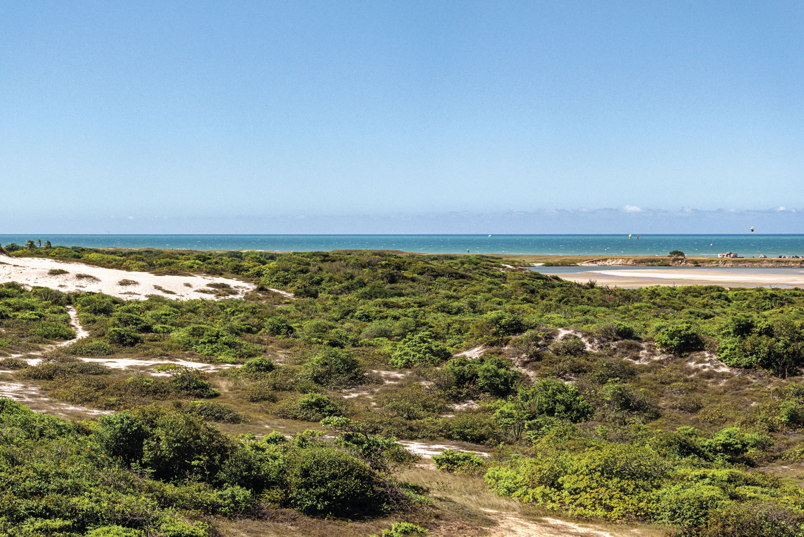 Área de Proteção Ambiental do Rio Pacoti é uma das áreas protegidas no Ceará (Foto: Comunicação da Secretaria do Meio Ambiente do Ceará) Paisagem de plantas, areia e mar da APA Rio Pacoti