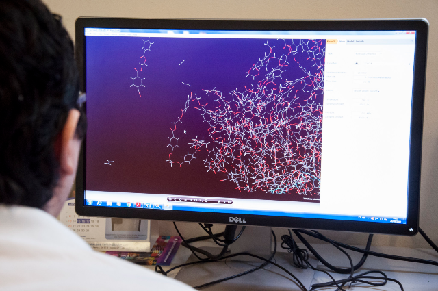 Imagem: Pesquisador de costas usa computador. Na tela, é possível ver pequenas peças, como se fossem cromossomos (foto: Viktor Braga/UFC)
