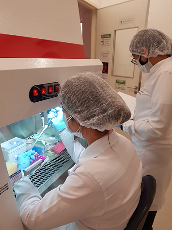 Imagem: foto de duas mulheres fazendo sequenciamento genético em laboratório