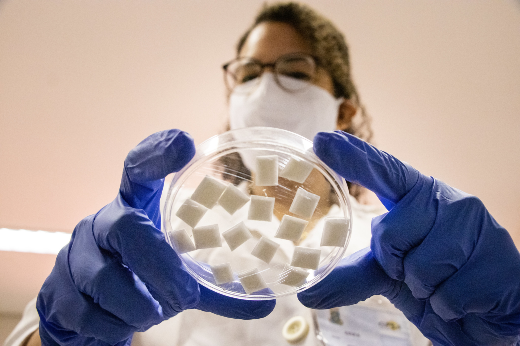 Imagem: pesquisadora examina em laboratório células