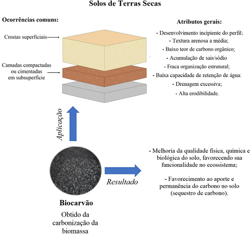 Imagem: O estudo, que deve gerar pedido de patente, é baseado na utilização de nanomateriais chamados de biocarvões para melhor utilização agrícola (Imagem: Divulgação)