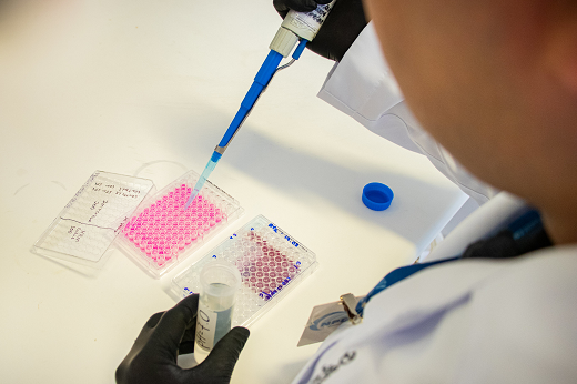 Imagem: Pesquisador segura material de bancada de laboratório, com vidraçaria e substâncias da cor rosa (Foto: Ribamar Neto/UFC Informa)