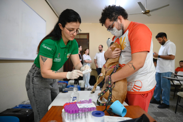 Imagem: profissionais atendem animal em sala no Campus do Pici