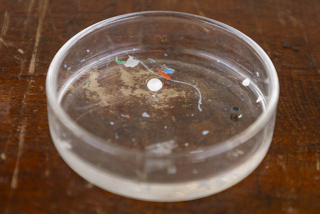 Microplásticos filtrados pelo coletor utilizado na pesquisa (Foto: Guilherme Silva/UFC) Imagem: Microplásticos filtrados pelo coletor utilizado na pesquisa (Foto: Guilherme Silva/UFC)