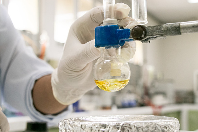 Ao todo, a UFC teve 62 projetos aprovados na Chamada Universal do CNPq (Foto: Ribamar Neto/UFC) Imagem de uma substância líquida em um balão de ensaio